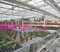 移動苗床分為幾種？什么材質的是好的？—華耀農業